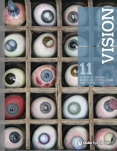 VISION 2011